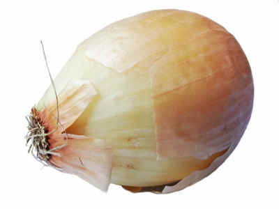 onion bottoms