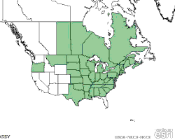 Milkweed range